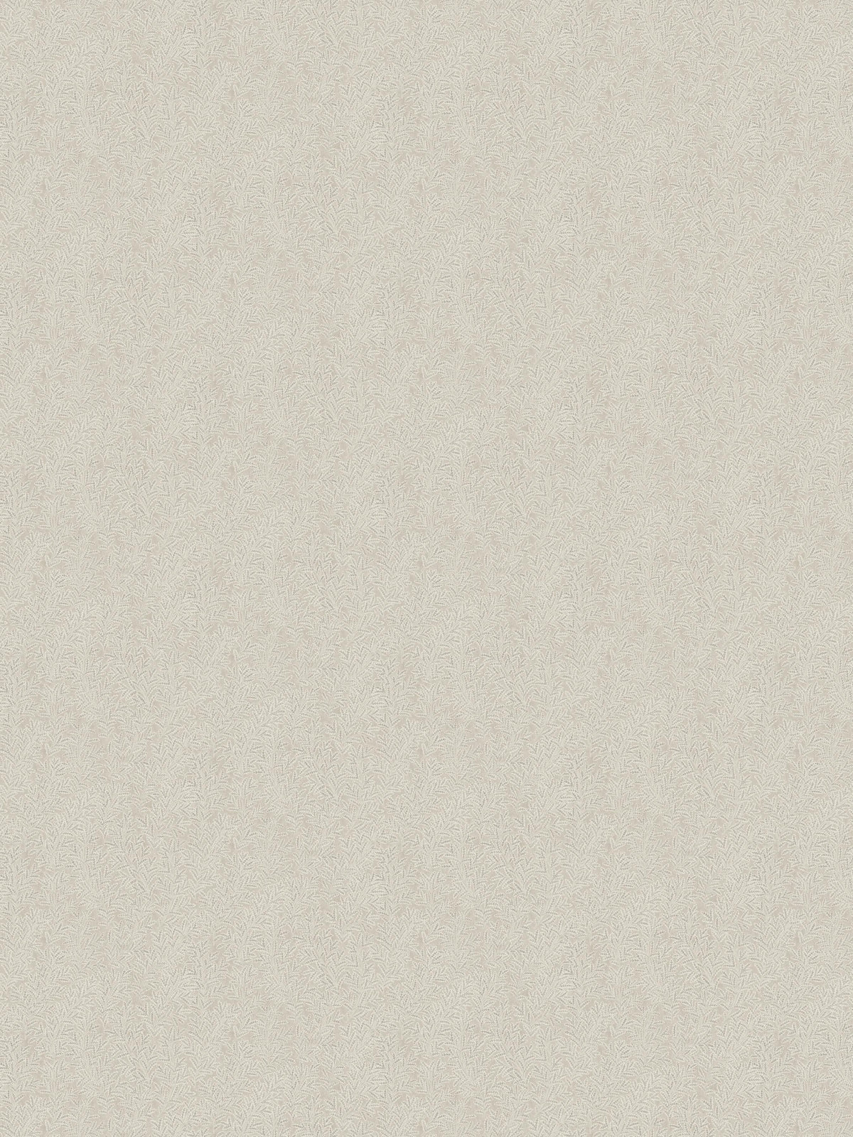 Molly´s Meadow, Beige