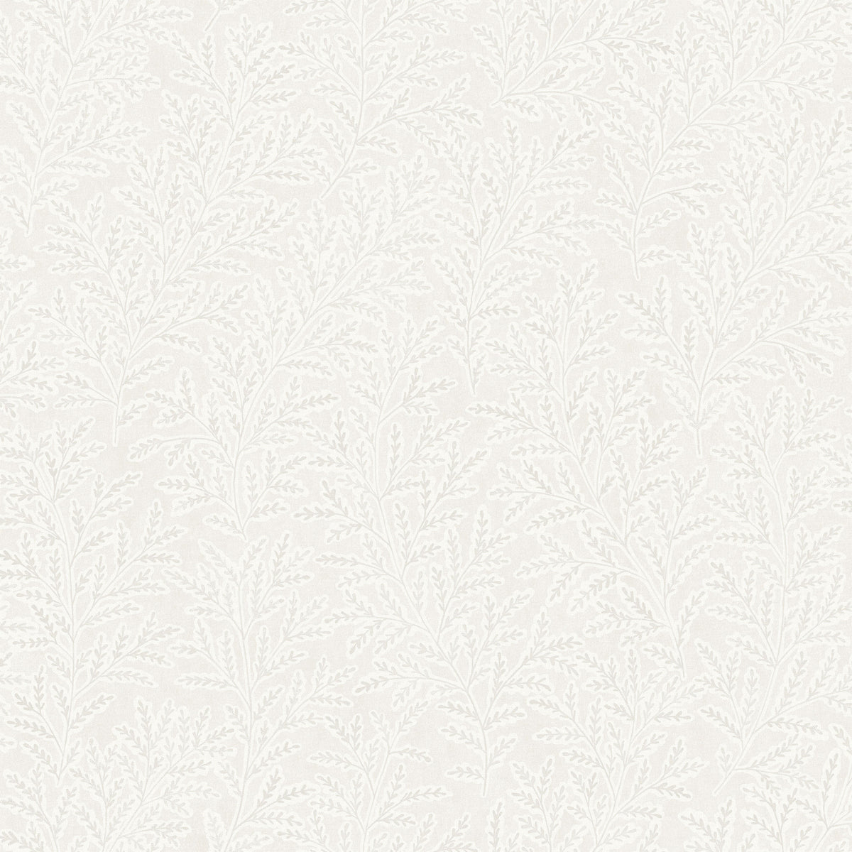 Molly´s Meadow, White