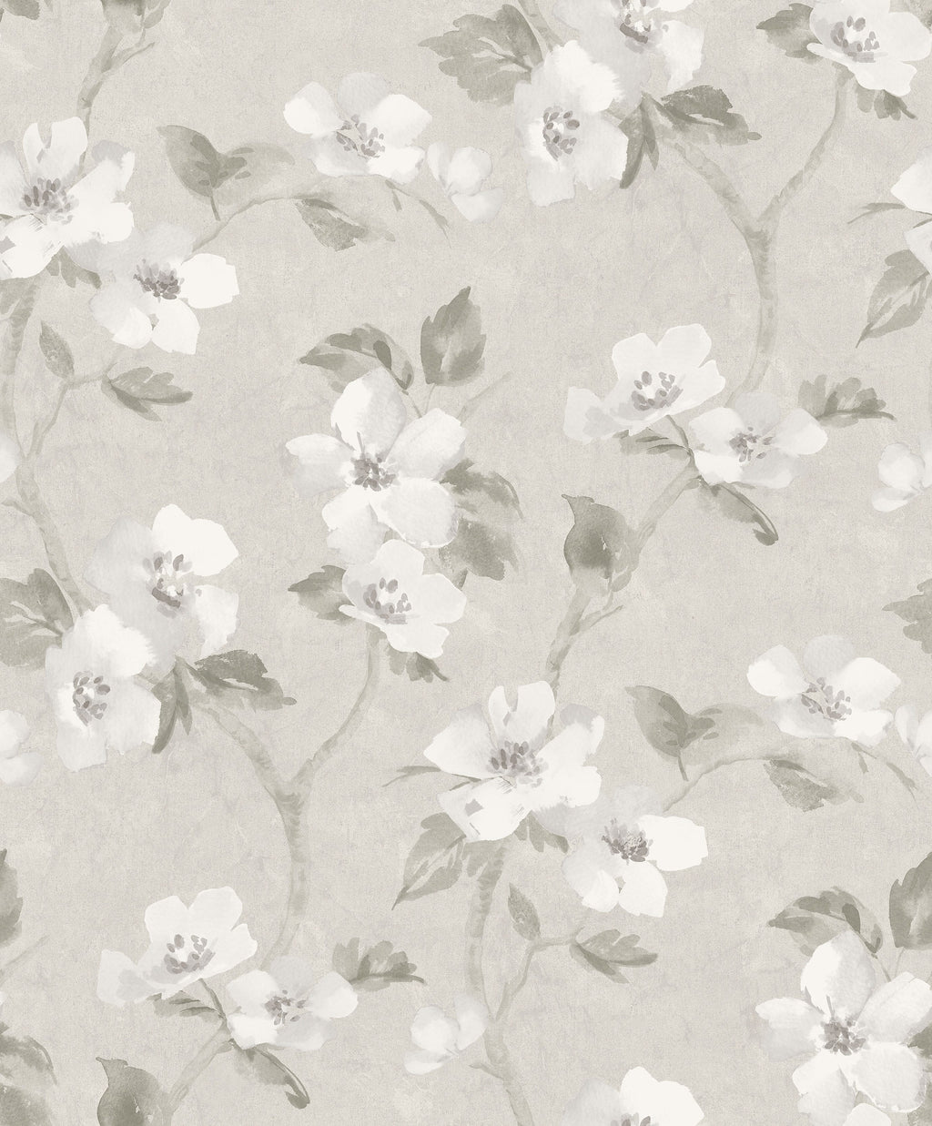 Helen´s Flower, Grey