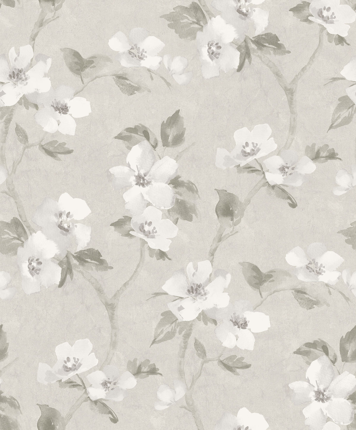 Helen´s Flower, Grey