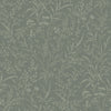 Florian, Green