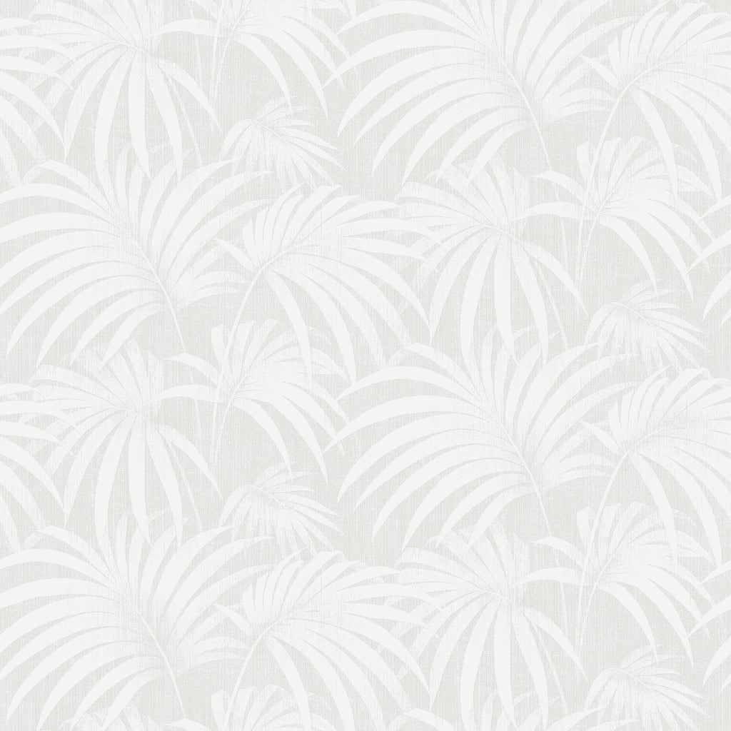 Paula, Grey