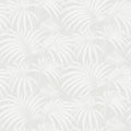 Paula, Grey