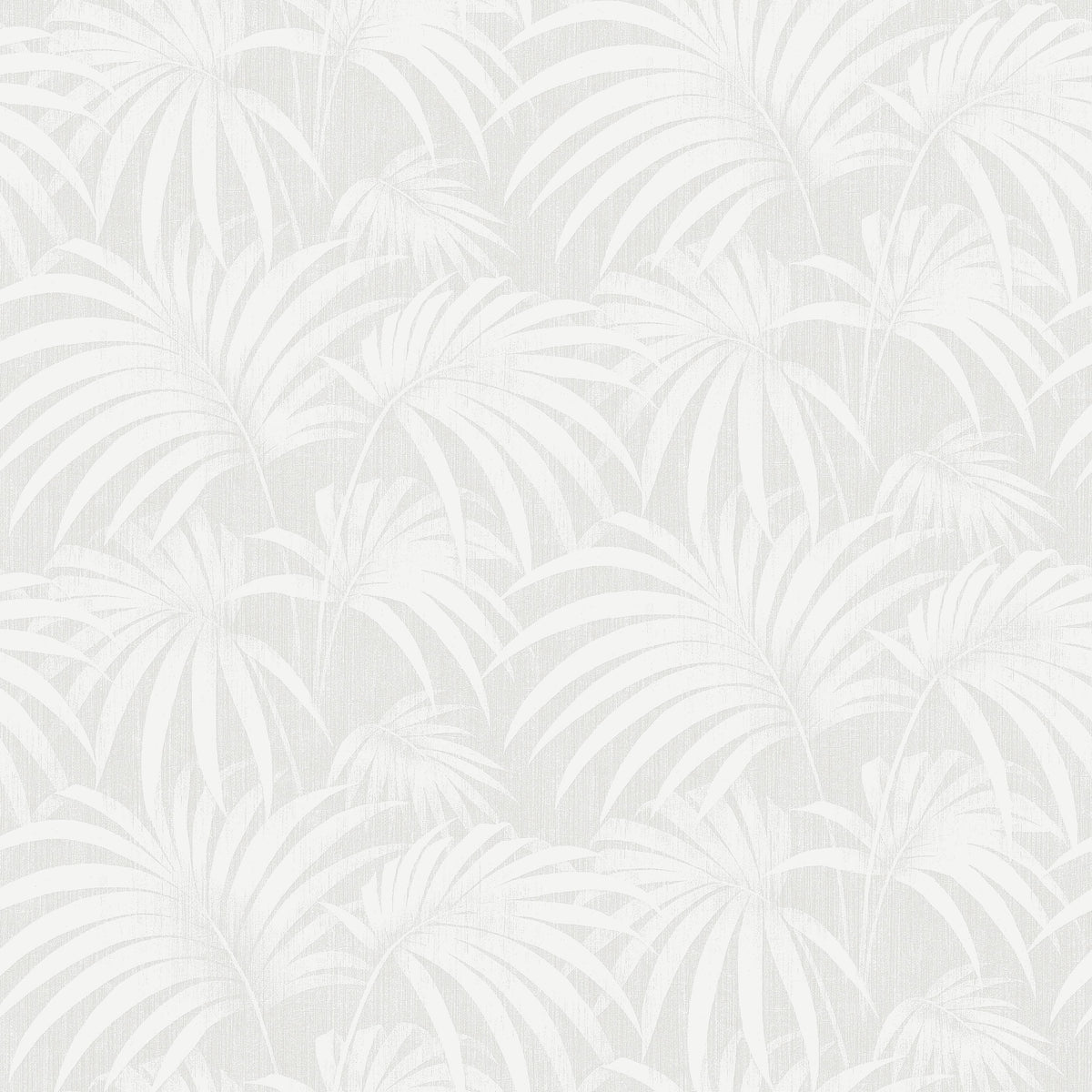 Paula, Grey