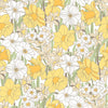 Påsklilja, Yellow