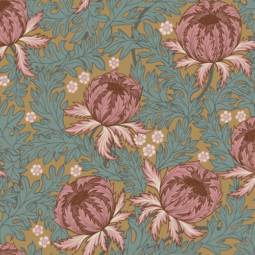 Arthur - Apricot Orange 39026