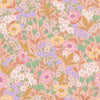 Lola - Apricot