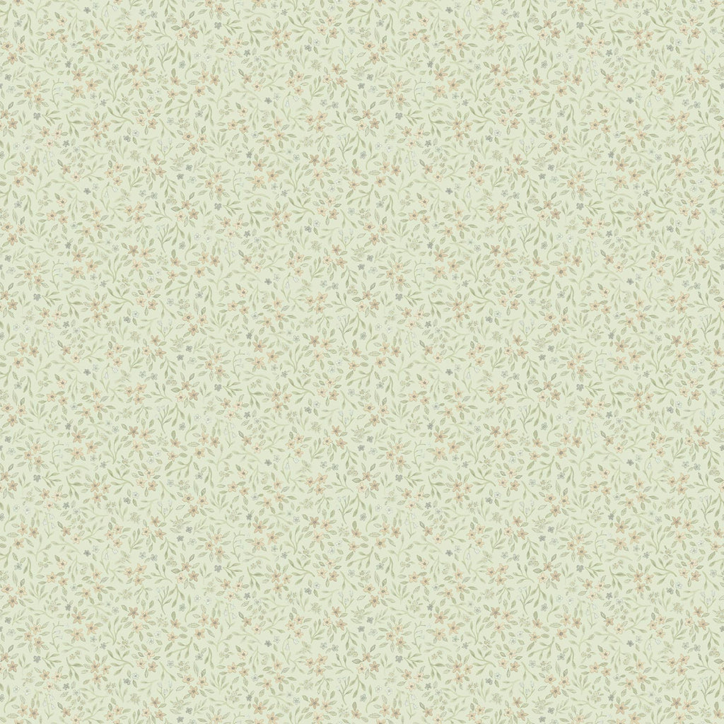 Mini – 43131