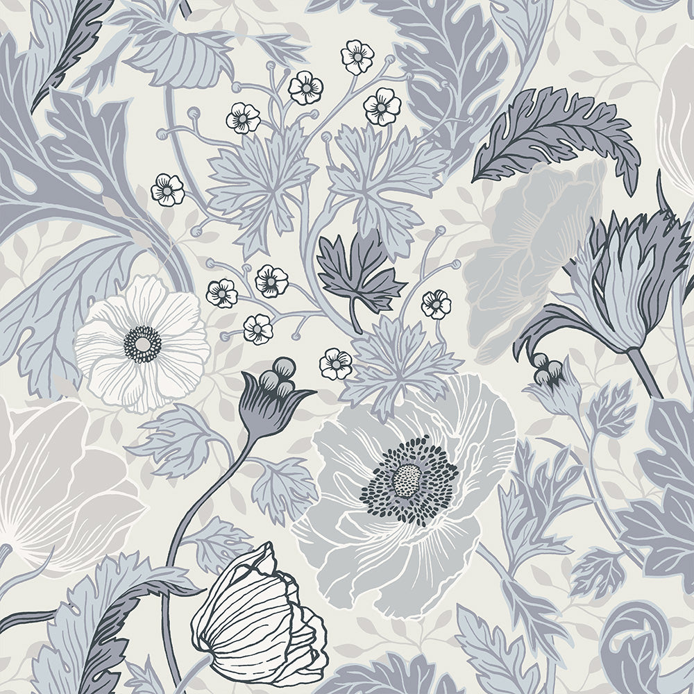 Anemone – 44101