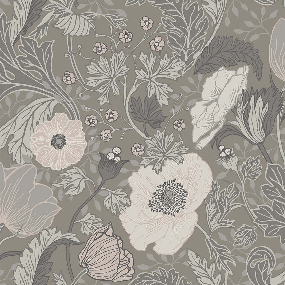 Anemone – 44102