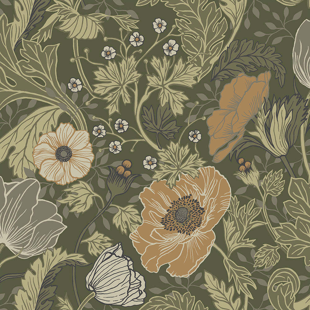 Anemone – 44104