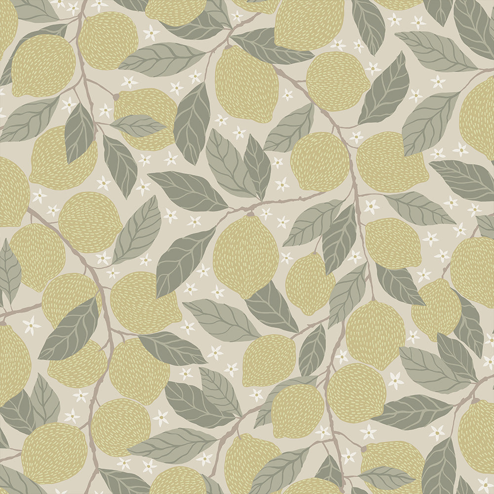 Lemona – 44116