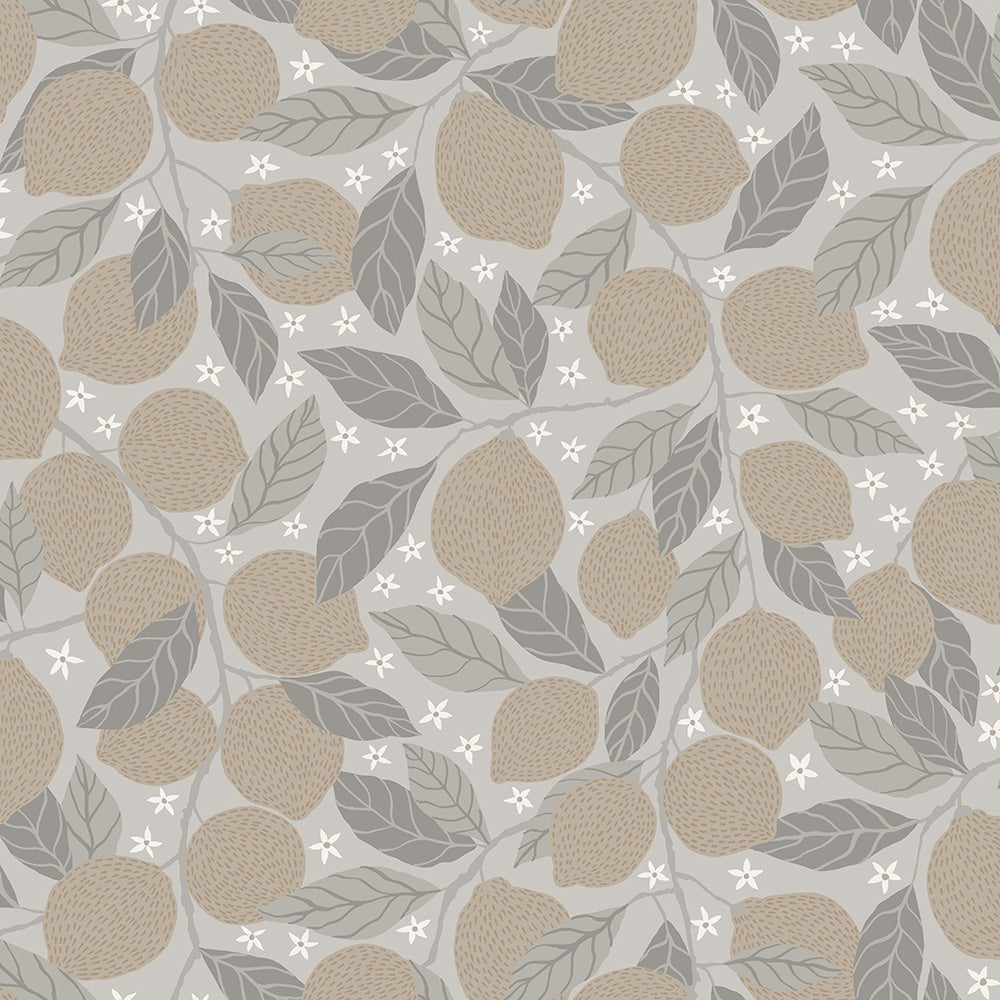 Lemona – 44117