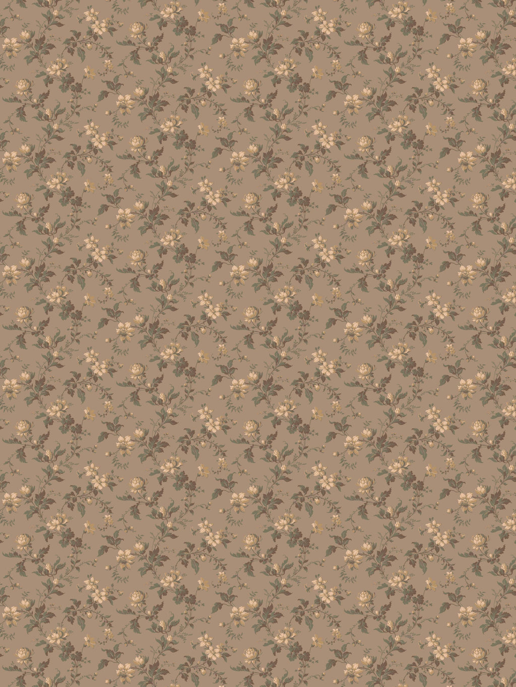 Blomslinga, Brown