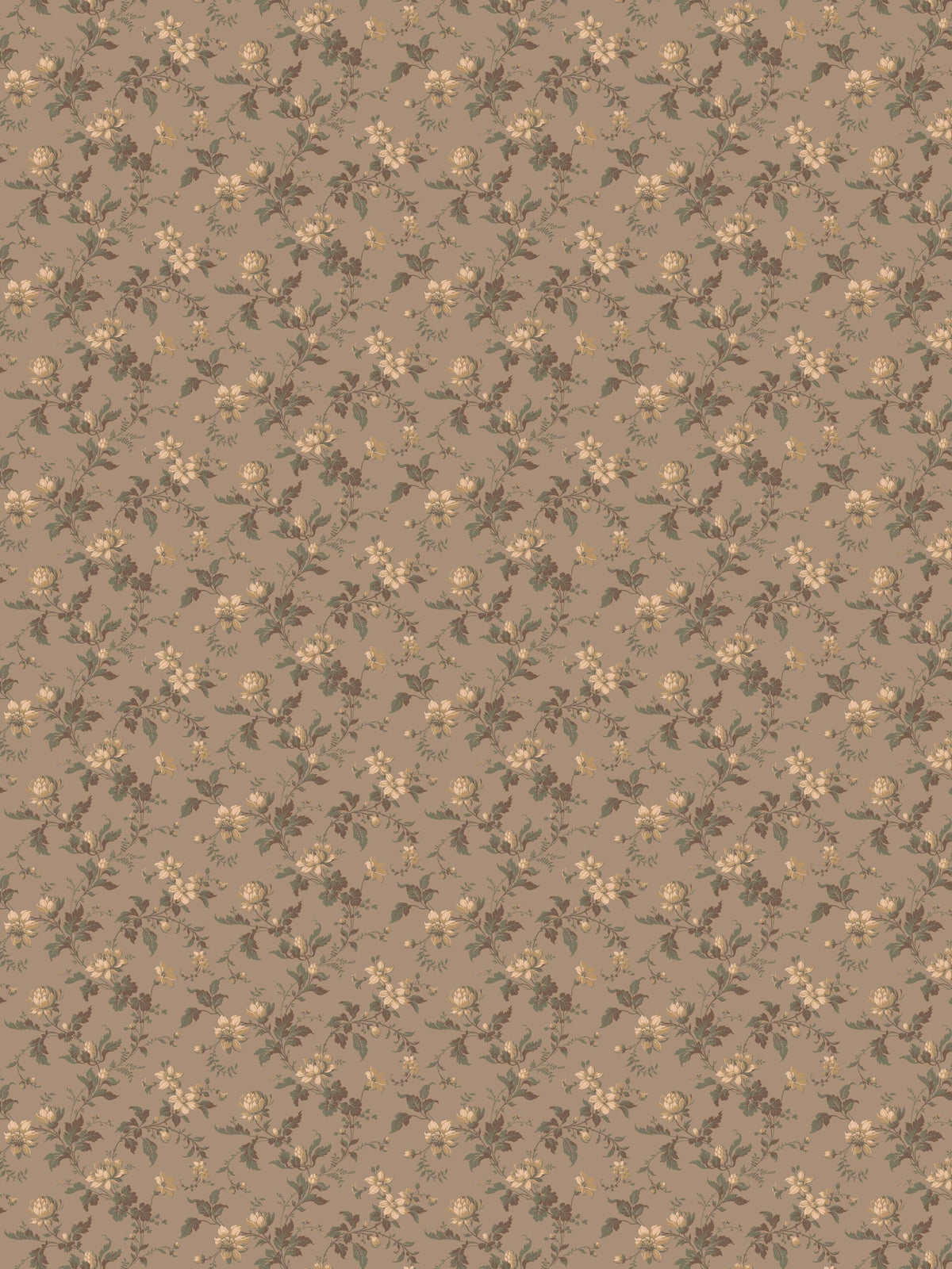 Blomslinga, Brown