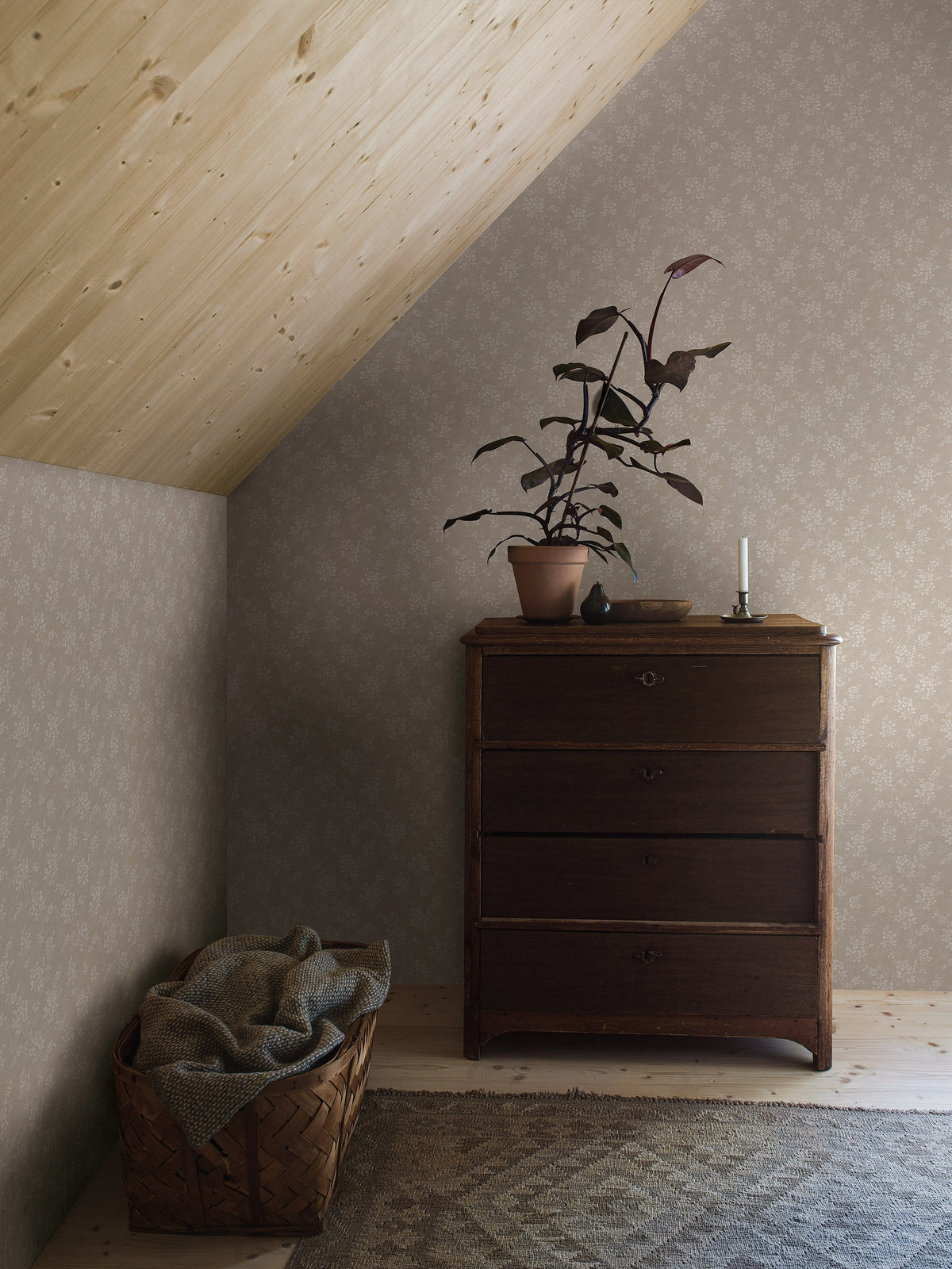 Hip Rose, Beige