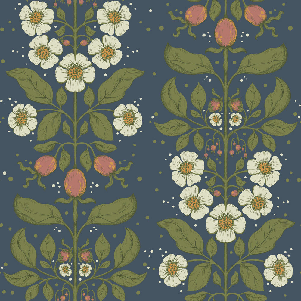 Rosa – 48013