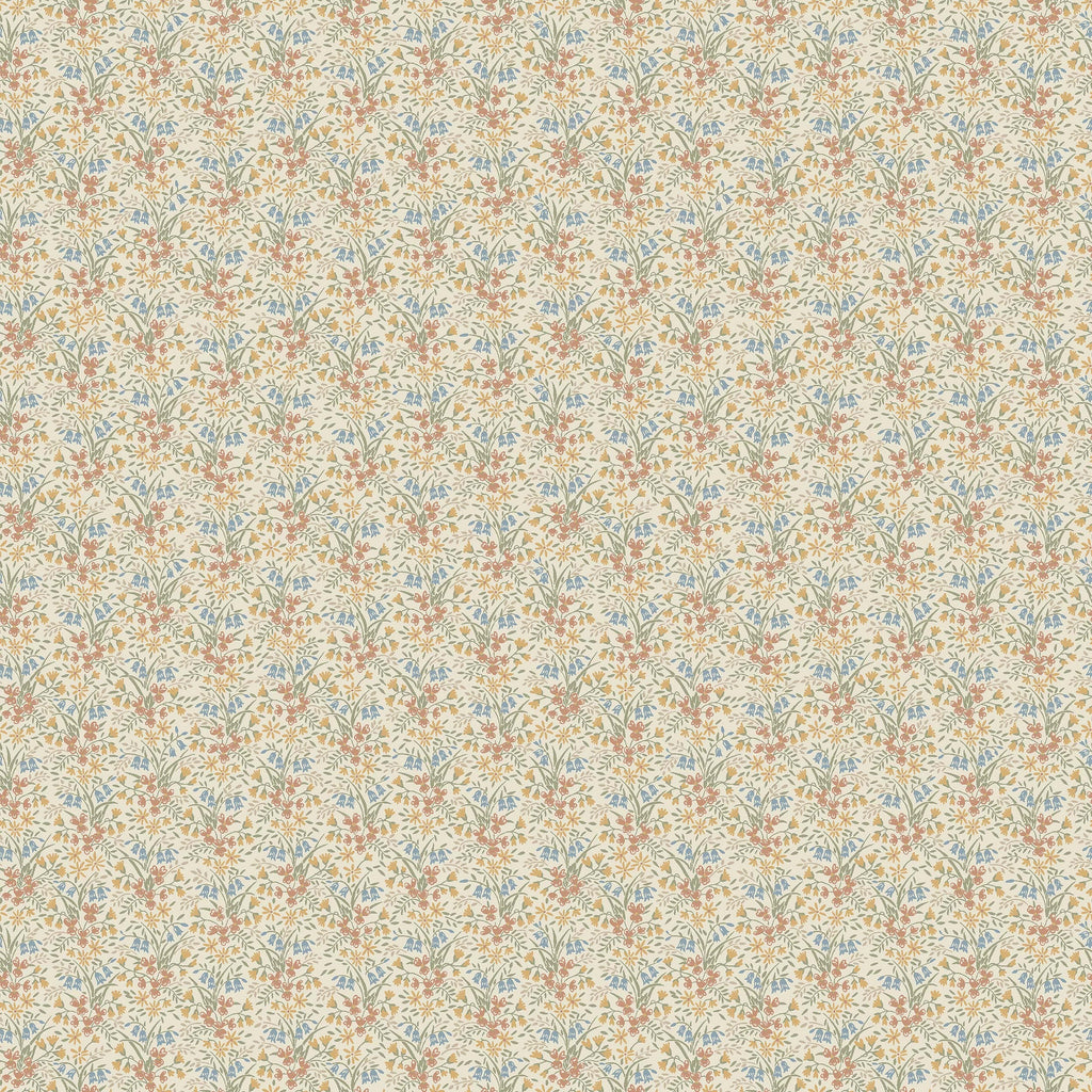 Bella, Beige