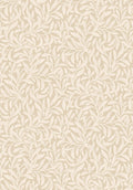 Vintergröna, Beige