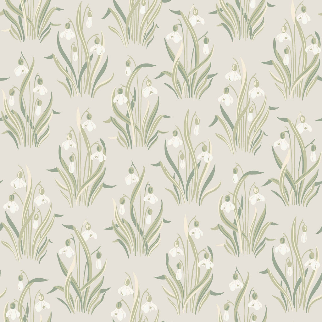 Snödroppe, Beige