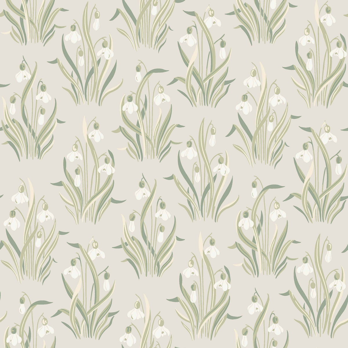 Snödroppe, Beige