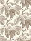Kastanj, Beige