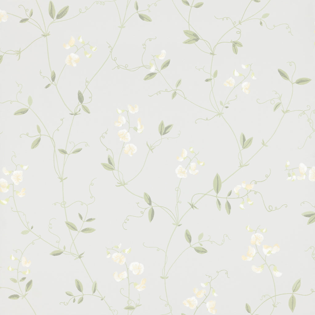 Sanna, Light Blue