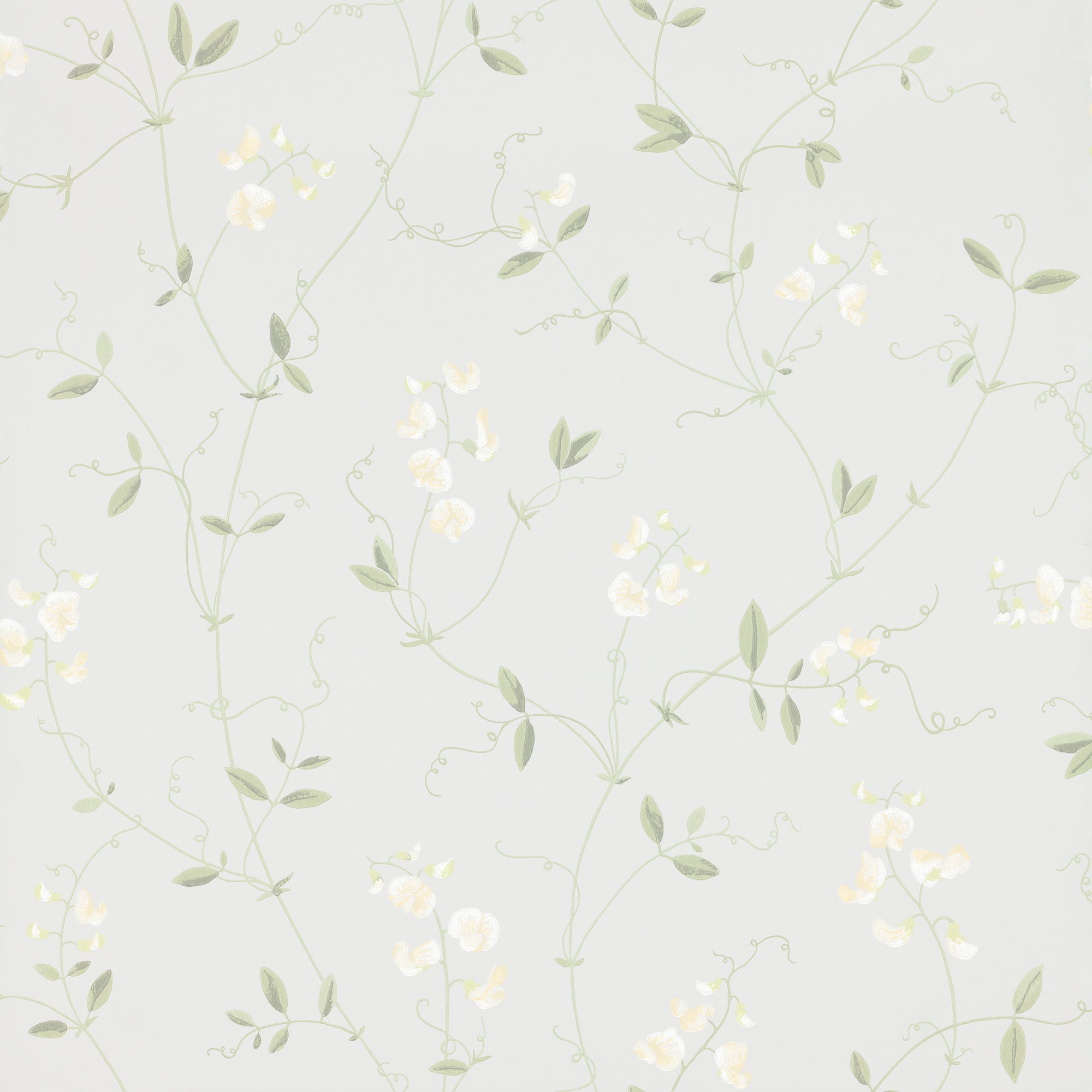 Sanna, Light Blue