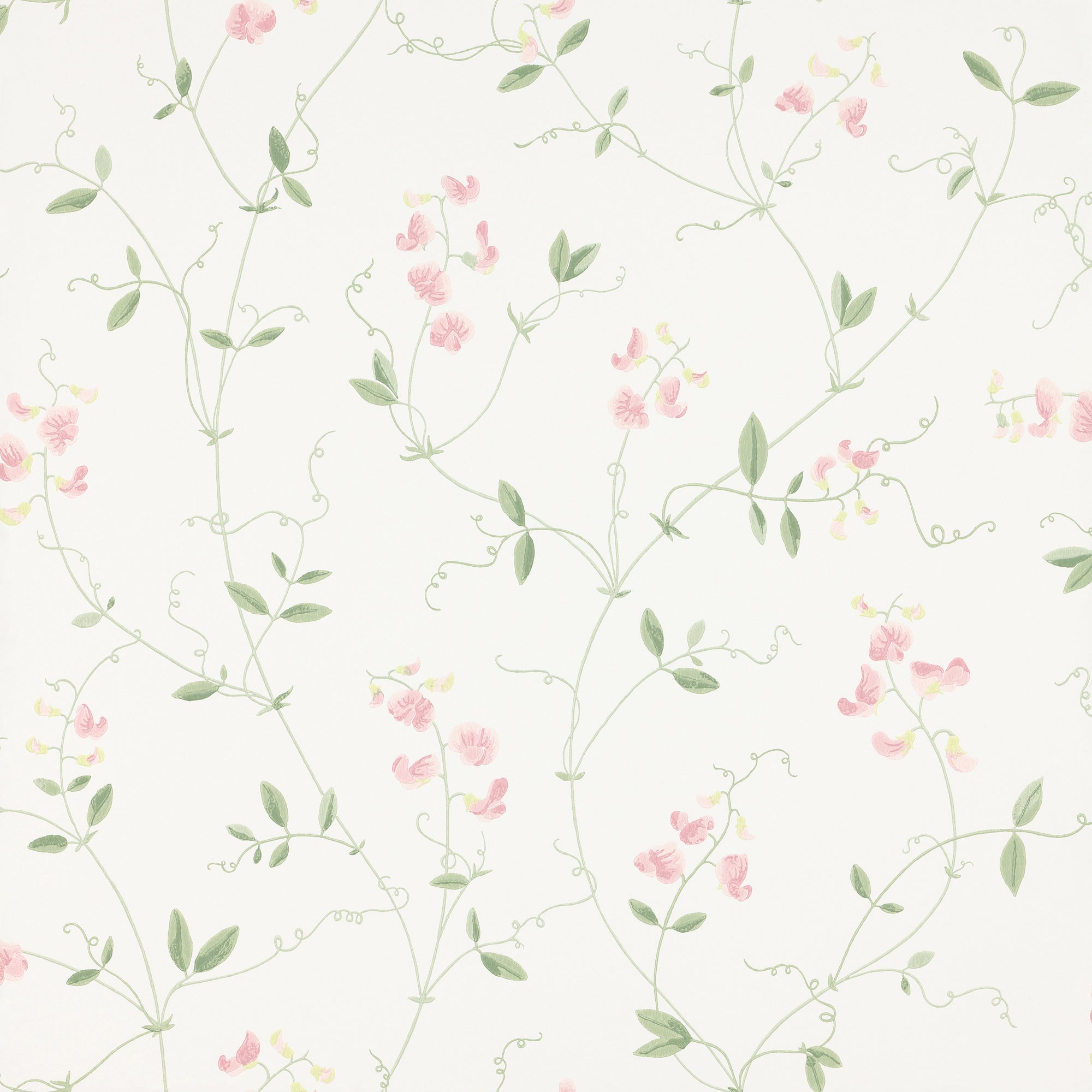 Sanna, Light Pink
