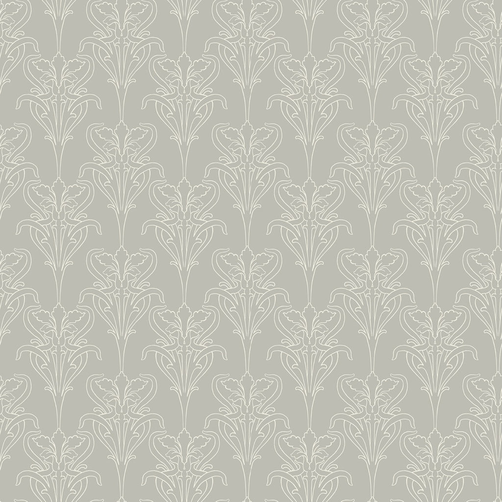Iris, Gray