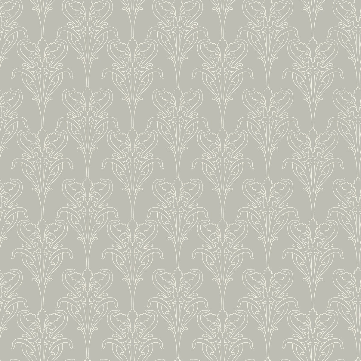 Iris, Gray
