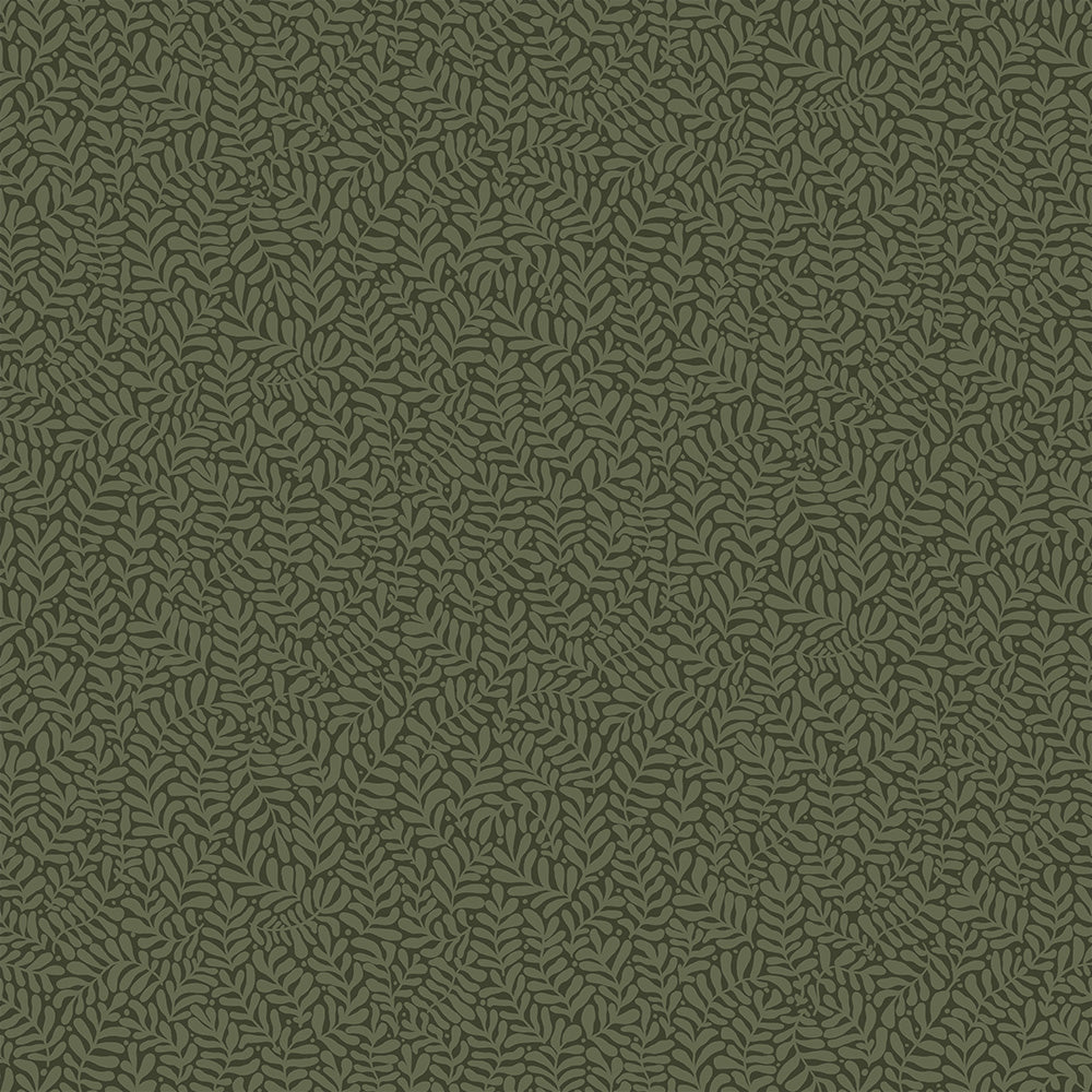 Anna – 55000