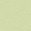 Anna – 55001
