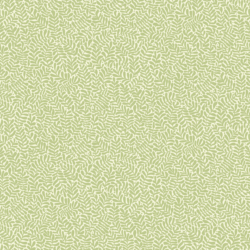 Anna – 55001