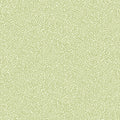 Anna – 55001