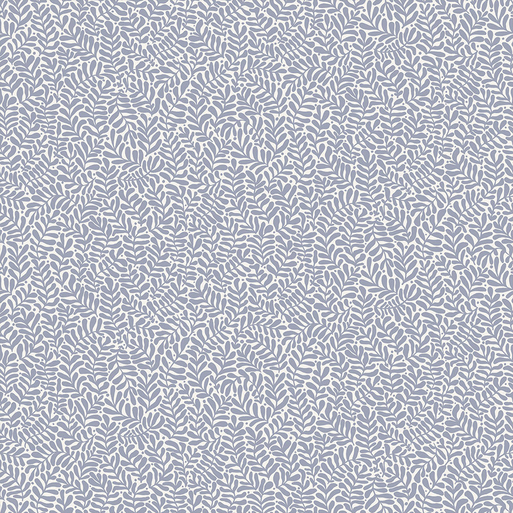 Anna – 55002