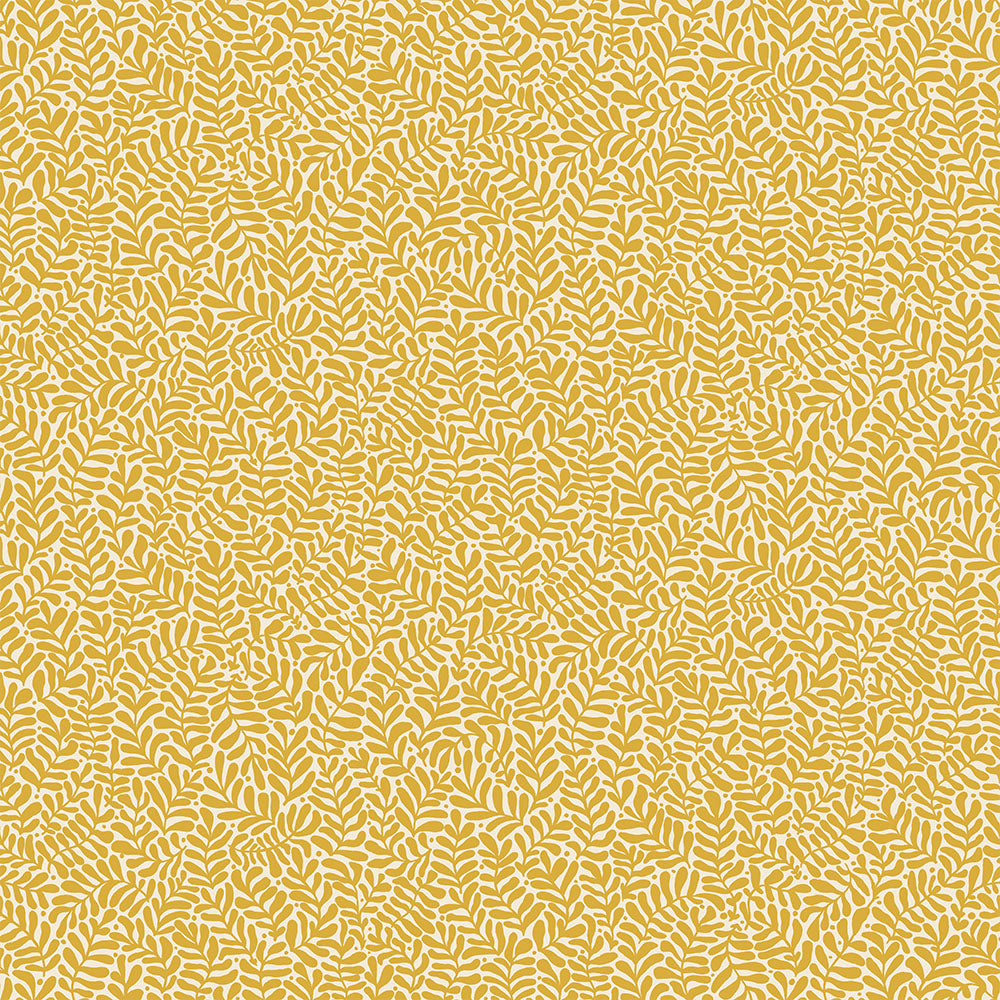 Anna – 55003