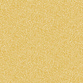 Anna – 55003
