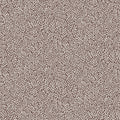 Anna – 55005