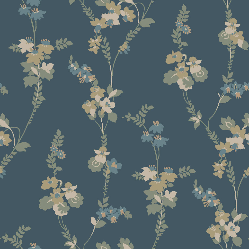 Vera, Blue