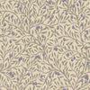 Olivträd - Purple 5704