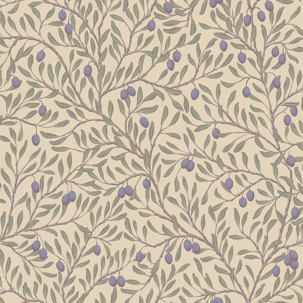 Olivträd - Purple 5704