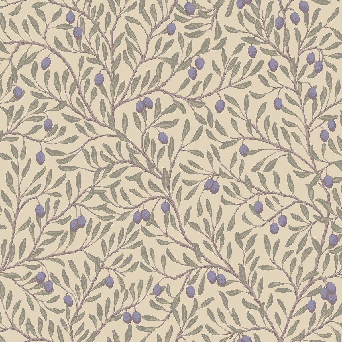 Olivträd - Purple 5704