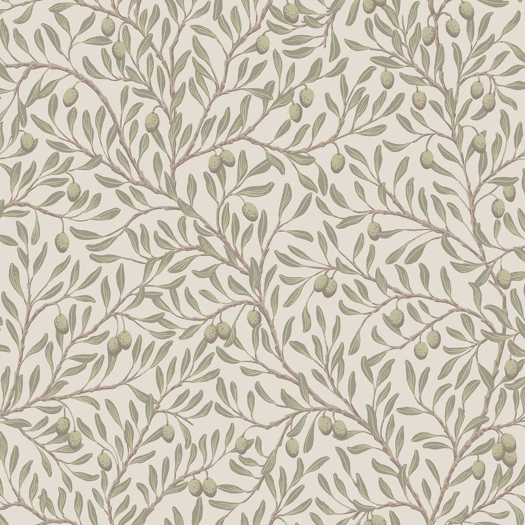 Olivträd - Green 5705