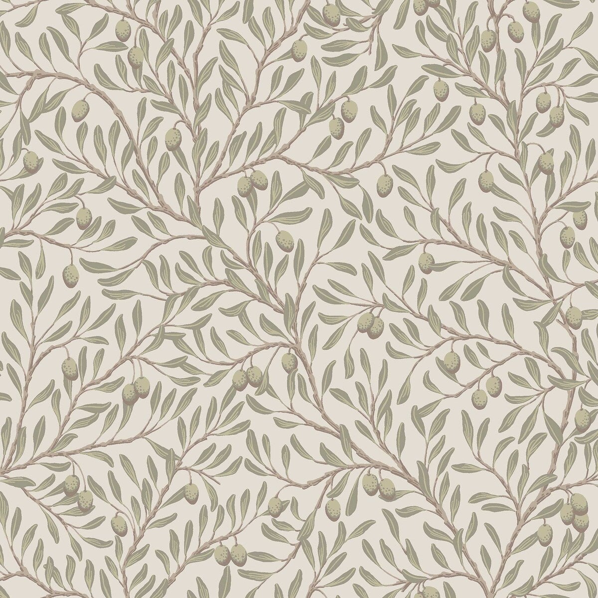 Olivträd - Green 5705