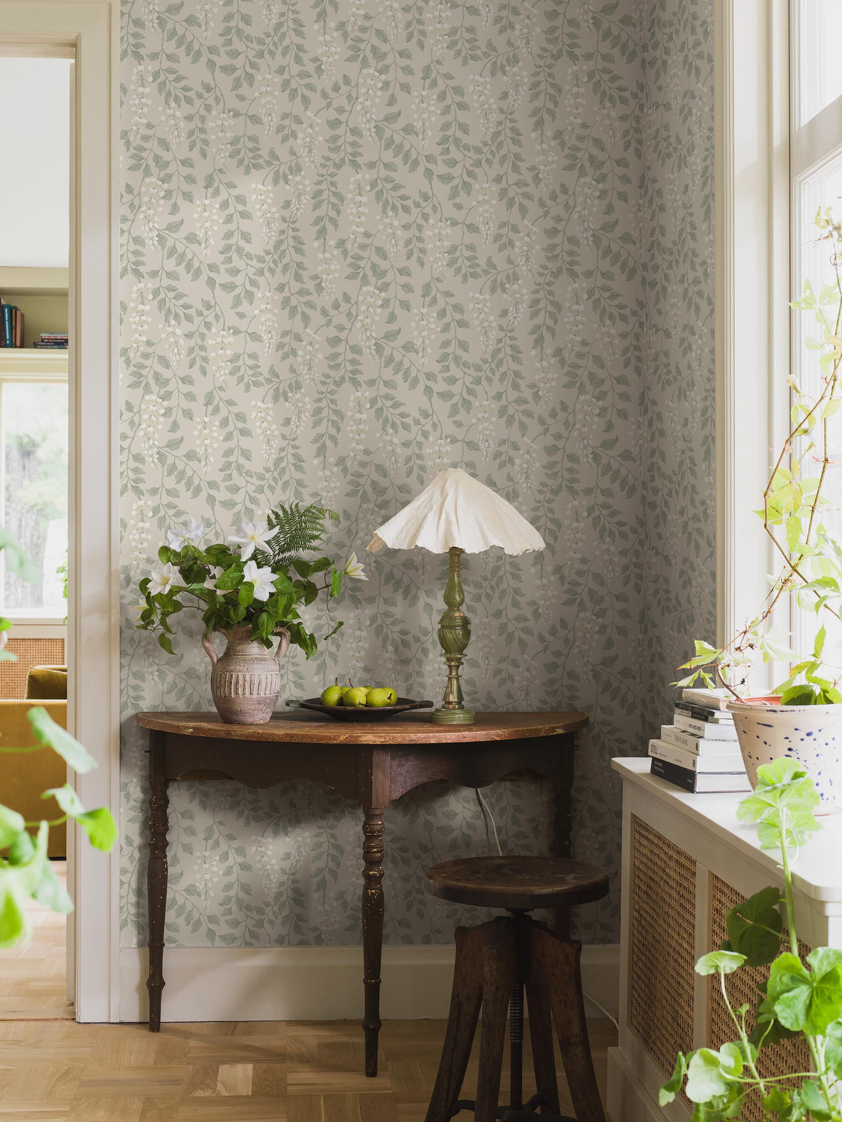 Blåregn, Beige