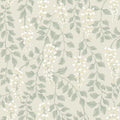 Blåregn, Beige