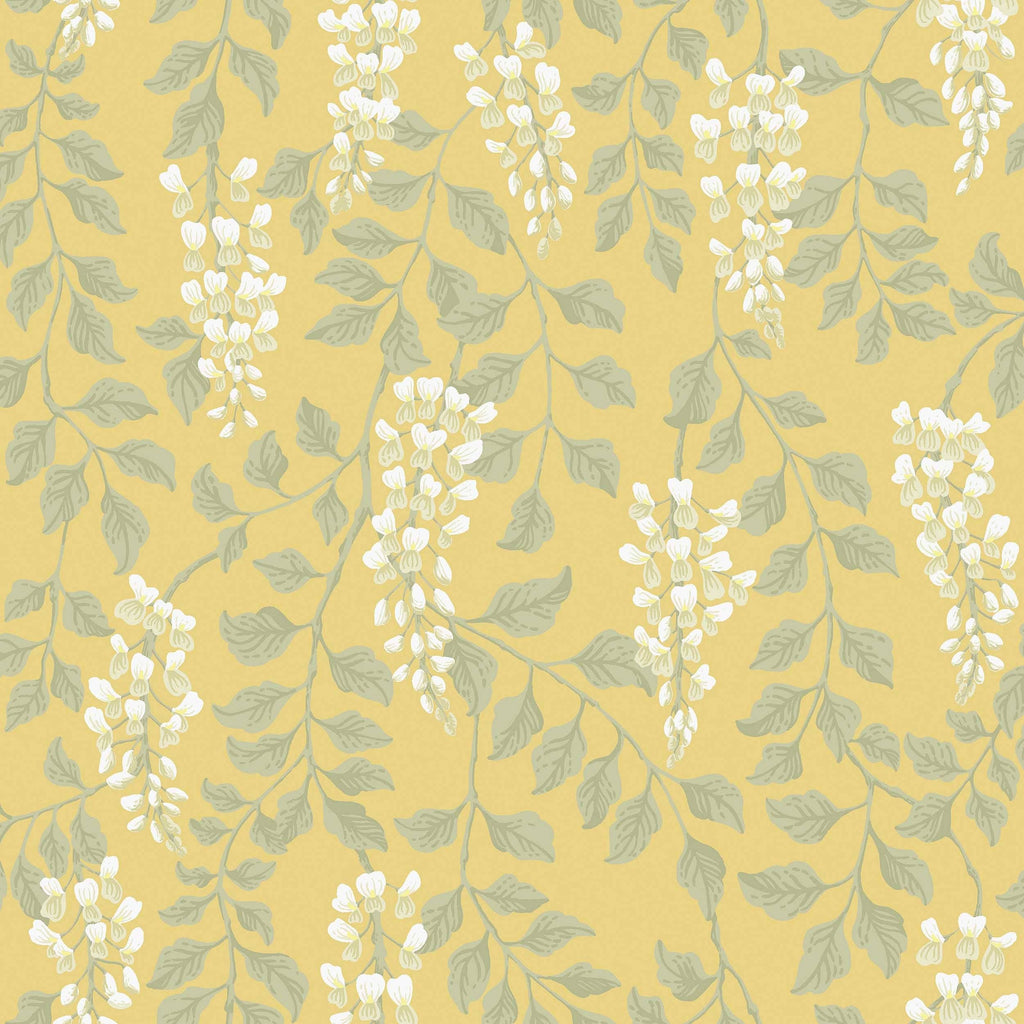 Blåregn, Yellow