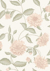 Dahliadröm, Pink