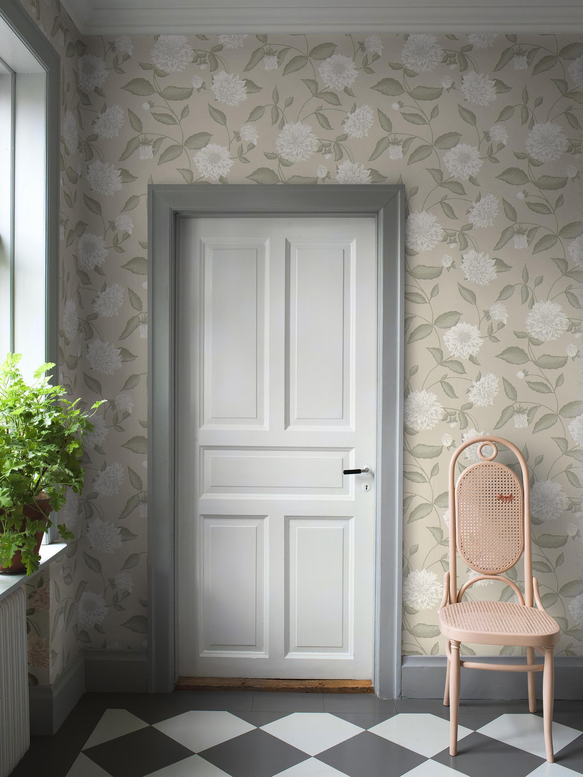 Dahliadröm, Beige